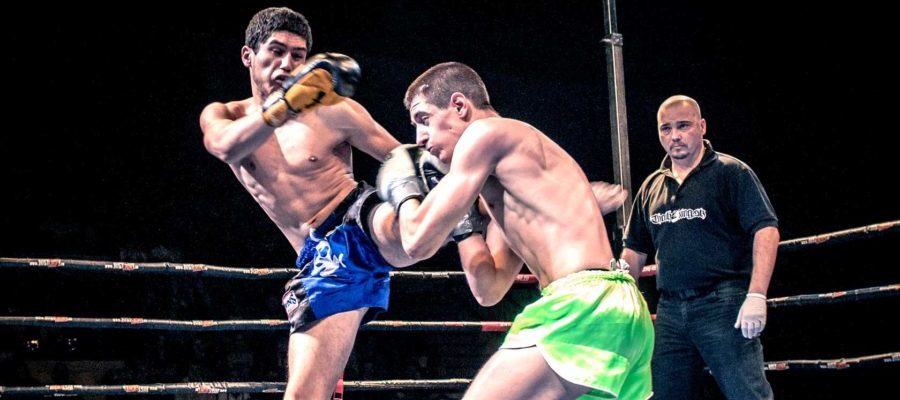 Gala Muay Thai Youngblood 18 Banska Bystrica 2013. Middle-kick w tempo